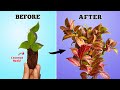 How to Propagate Hoya from Stem Cuttings // Hoya Propagation & Care