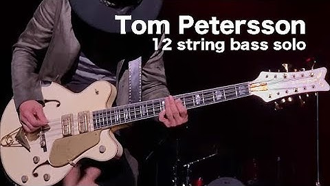 Cheap Trick   Tom Petersson 12 string bass solo（Live in JAPAN 2016 at Shinkiba Studio Coast , Tokyo）