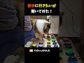 散歩に行きたいか聞いてみた! #shorts