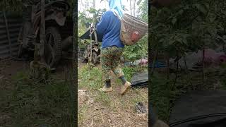 Anggota Petik Cbe20 Orng.. Lahan 3Htr Dibwah Pohon Kopi..