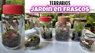 😍CÓMO HACER TERRARIO O JARDIN FANTASTICO ETERNO/Liliana Muñoz