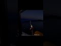 Русская Рыбалка 4 Норвежское Море Пердак Макрель + прилов на Дерг #рр4 #Макрель #море 17.09.23