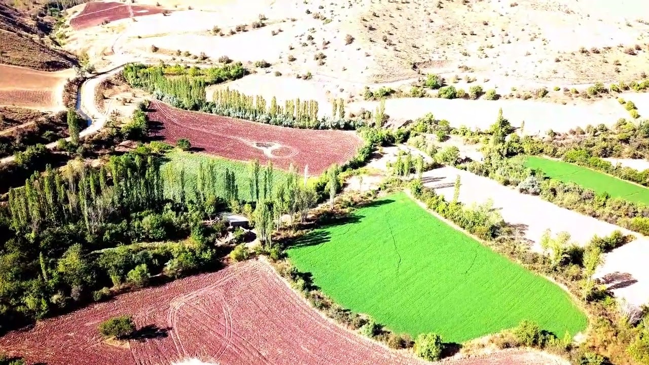 ŞENBAĞLAR KÖYÜ BAHÇELER AĞUSTOS 2023