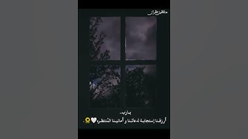ارح قلبك 🥀♥_«تلاوه خاشعة» قرآن گريم #القارئ #القرآن_الكريم #قرآن