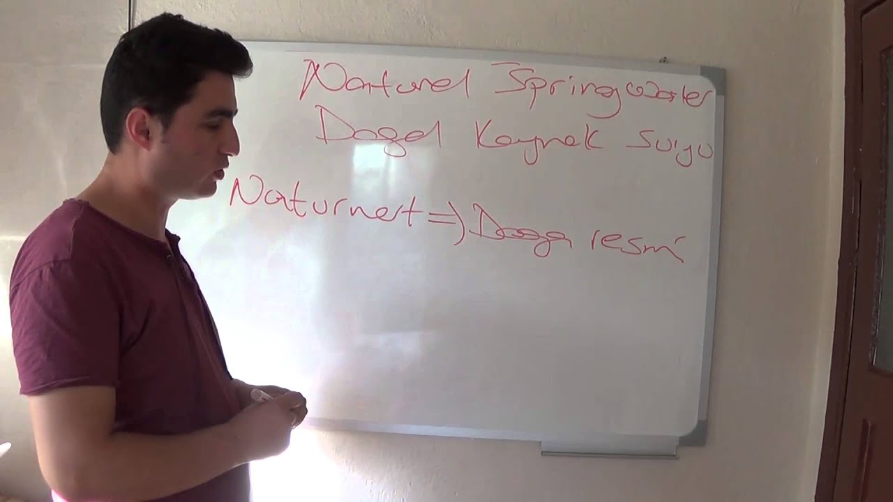 dogal sayilar ortaokul matematik