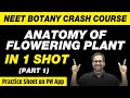 Anatomy of Flowering Plants in 1 Shot (Part 1) - All Theory, Tricks & PYQs | Class 11 | NEET
