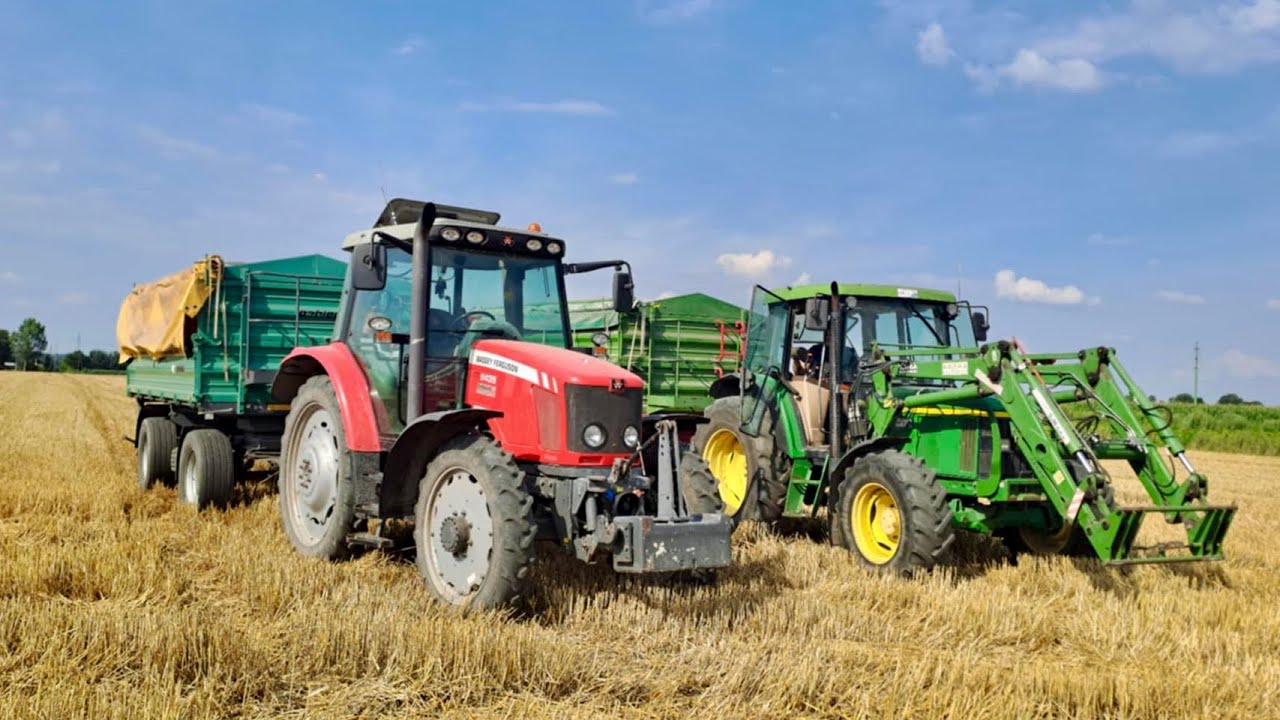 VLOG #145| KONIEC ŻNIW - ZBOŻE W MAGAZYNIE - BYKI MAJĄ PASZĘ