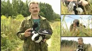 видео: Снято! Макросъёмка насекомых картинка: Снято! Макросъёмка насекомых