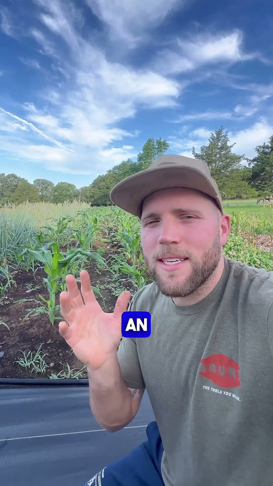 HOW MUCH LAND DO YOU ACTUALLY NEED TO HOMESTEAD homestead how-much-land-do-you-actually-need-to-homestead-homestead