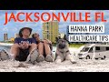 Jacksonville's Hanna Park & On-The-Road Healthcare