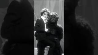 ¿Quién se disfrazó de Gorila en este Videoclip de Queen? #freddiemercury #imgoingslightlymad