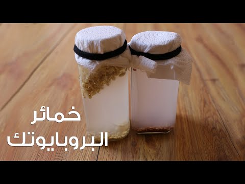 فيديو: أين يوجد Pediococcus؟