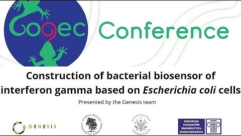 Construction of bacterial biosensor of interferon gamma based on Escherichia coli cells