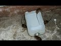 Gallon Mouse Trap,The best mouse trap I&#39;ve ever seen,How to make a mouse trap homemade