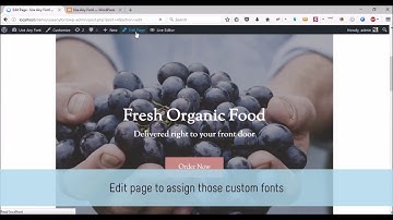 Use Any Font : Custom Fonts in Site Origin Page Builder