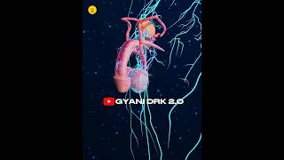 Even A Simple Hit On Testicles Is So Much Painful? Why?