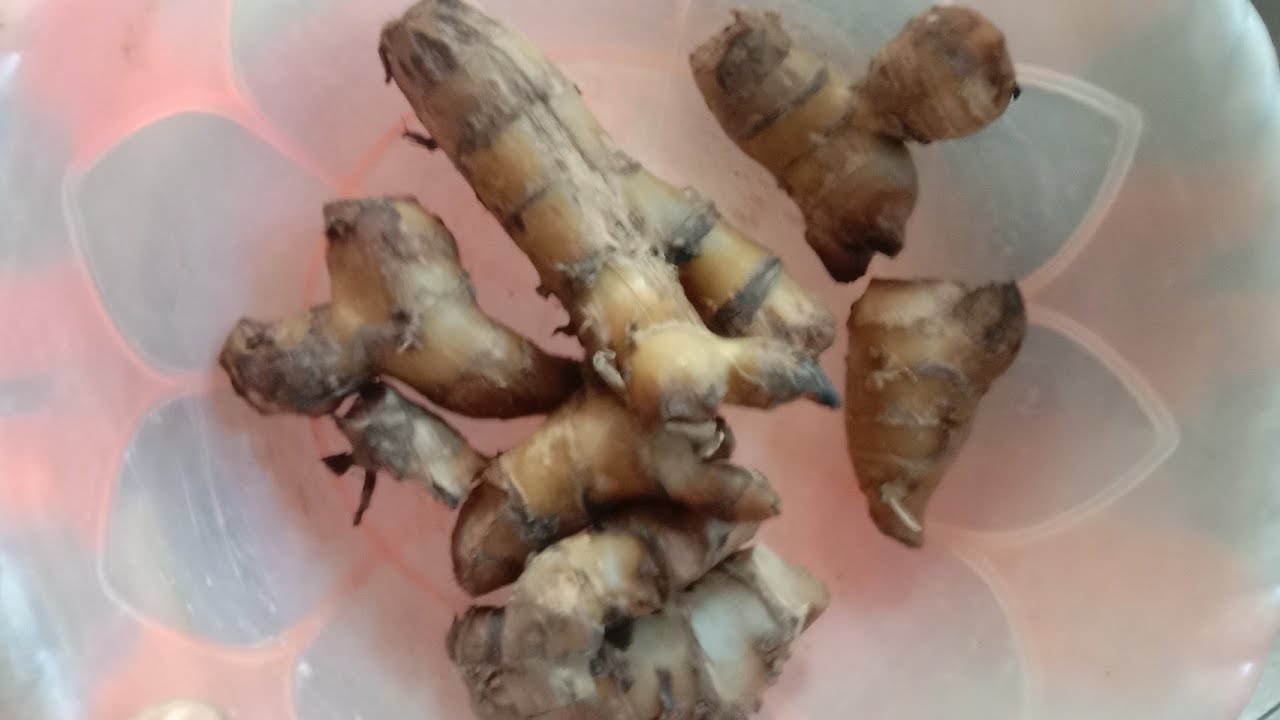 makanan super jadul..GANYONG 