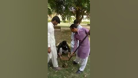 How to use Auger to get disturbed Soil sample |Soil Machanics-1|