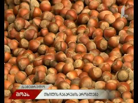 თხილის ჩაბარების პრობლემა