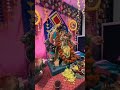 tu arambh hai tu vishes hai..Allsoft Raja 💫🙏🏻Ganpati Bappa Morya .#trending #latest #students #love