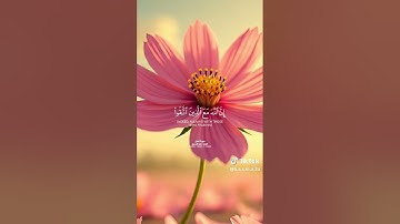 قران كريم صوت جميل يرح قلبك #اكتب_شي_تؤجر_عليه #اكسبلور #duet #المصحف #قرآن