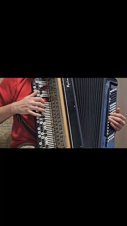 🎶 AI Magic: Accordion Melts in My Hands 😂
