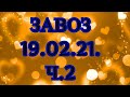 🌸Продажа орхидей. ( Завоз 19.02. 21 г.) 2 ч. Отправка только по Украине. ЗАМЕЧТАТЕЛЬНЫЕ КРАСОТКИ👍