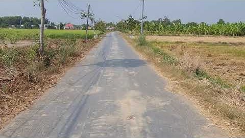 ( tạm ngừng giao dịch)Đất cần đước " bán  1000m2 lúa được chuyển thổ cư  xã tân ân cần đước Long An