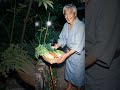 The Japanese Secret to Living Past 100 (Ikigai Explained)