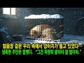 추운 날씨 속, 철창에서 벌벌 떨던 개… 주인은 “그럴 만한 죄를 지었어”라고 말했다