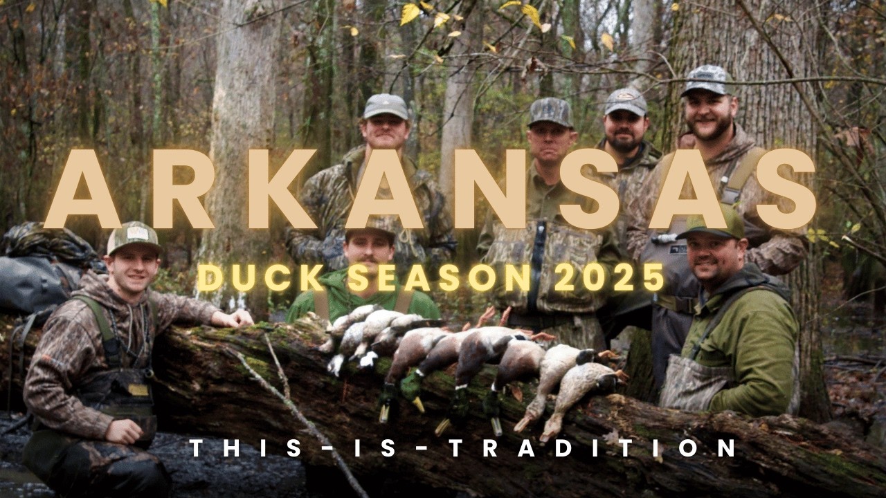 Opening Day In Arkansas (Public Land Timber) Duck Season 2025