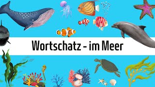 Deutsch lernen - Wortschatz: im Meer