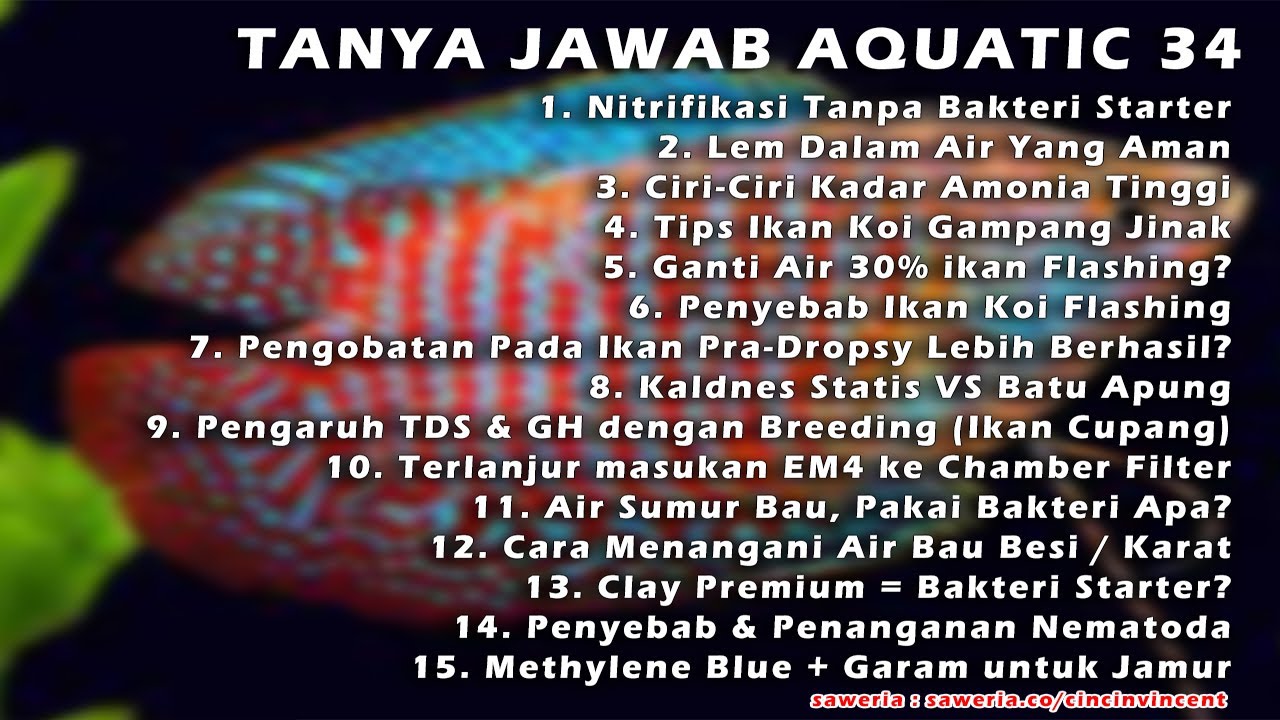 Tanya Jawab Aquatic 34