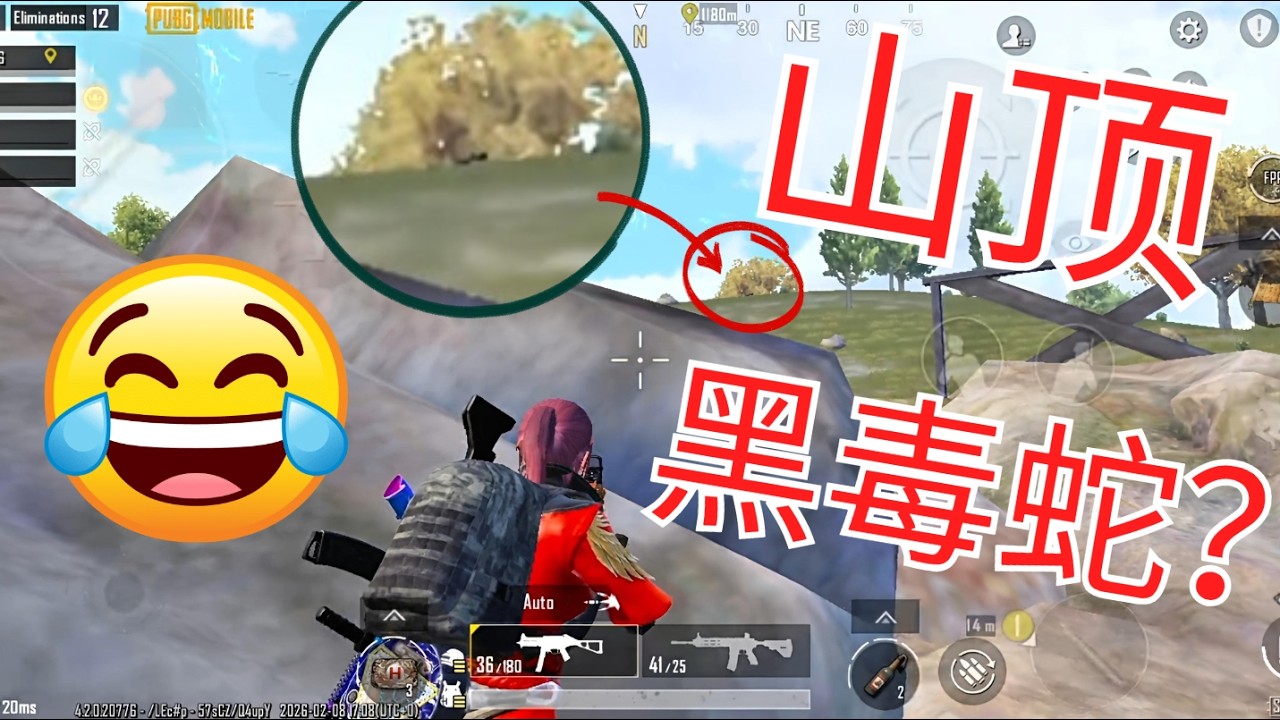肥龟玩游戏：PUBG MOBILE 山顶趴着的是......