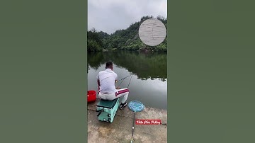 F1 / Cận cảnh tín hiệu phao câu đài