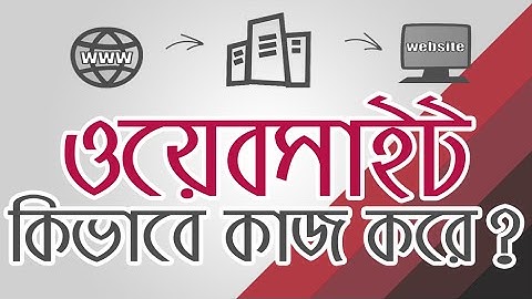 হোস্টিং কি? What is website? how it works? ওয়েবসাইট কিভাবে কাজ করে? animation