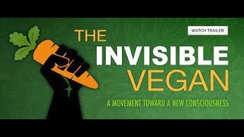 The Invisible Vegan - 2019