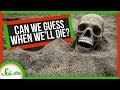 When Will We All Die?: The Statistics of Human Extinction