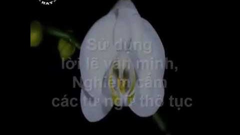 10 nguyên tắc khi vợ chồng cãi nhau