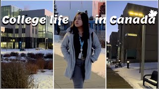 ೃ⁀➷  A Day in the Life of an International Student in Canada 🇵🇭🏛️🇨🇦 | Winter 2023