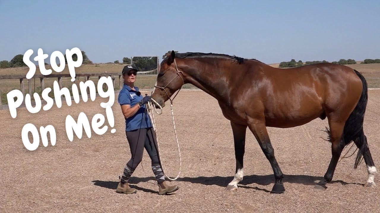 Stop Your Horse Invading Your Space!