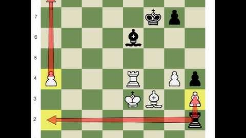 Chess.com: The Principle of Two Weaknesses 5