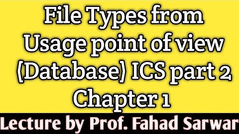 Types of File from Usage point of View | Database | ICS part 2 chapter 1