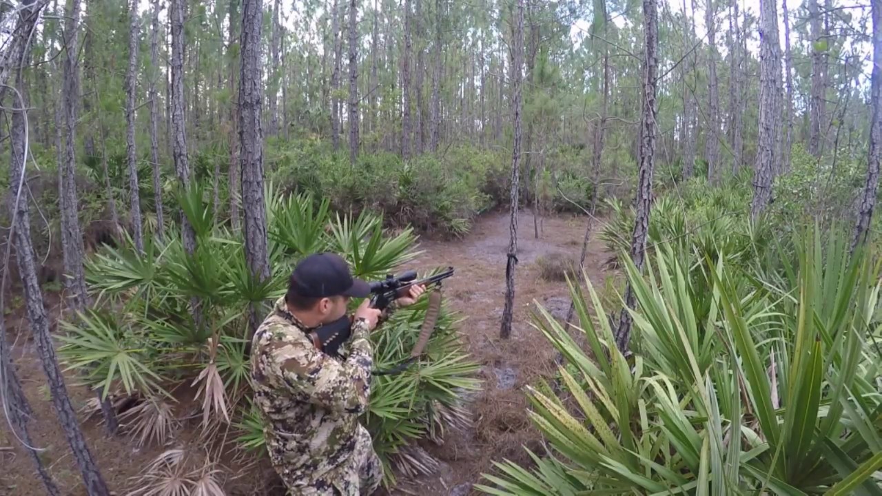 Hog Hunting In Florida, Charged By Sow 