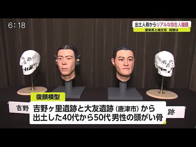 吉野ヶ里歴史公園 出土人骨から生前の顔を復元し展示【佐賀県】 (21/03