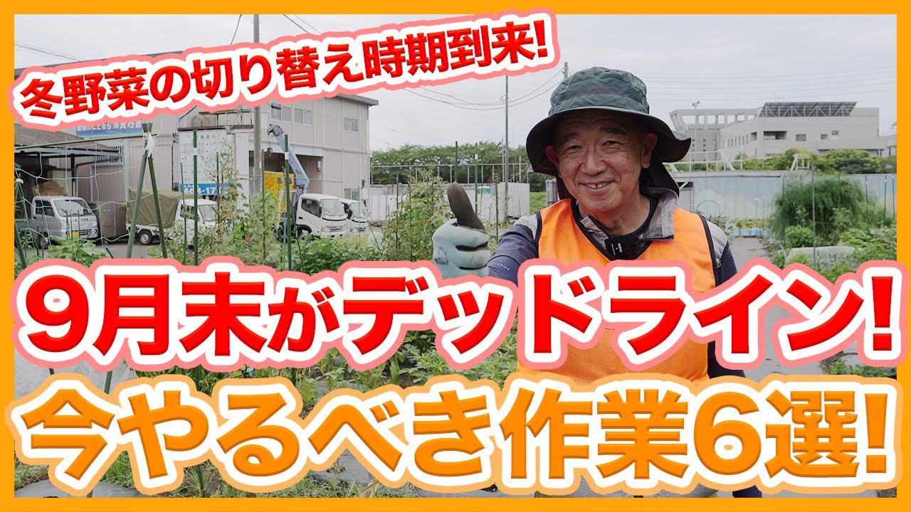 The deadline for growing autumn and winter vegetables in your home