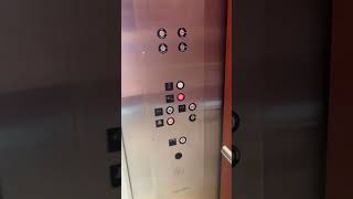 EPIC MOTOR: Arrow/GAL Hydraulic Lift at 794 Franklin Ave. in Franklin Lakes, NJ EPIC MOTOR: Arrow/GAL Hydraulic Lift at 794 Franklin Ave. in Franklin Lakes, NJ