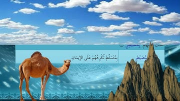 103- سورة الغاشية - شرح غريب القرآن - تقديم عماد بن أنور الديب
