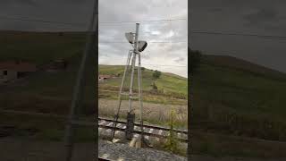 IMG 1447
