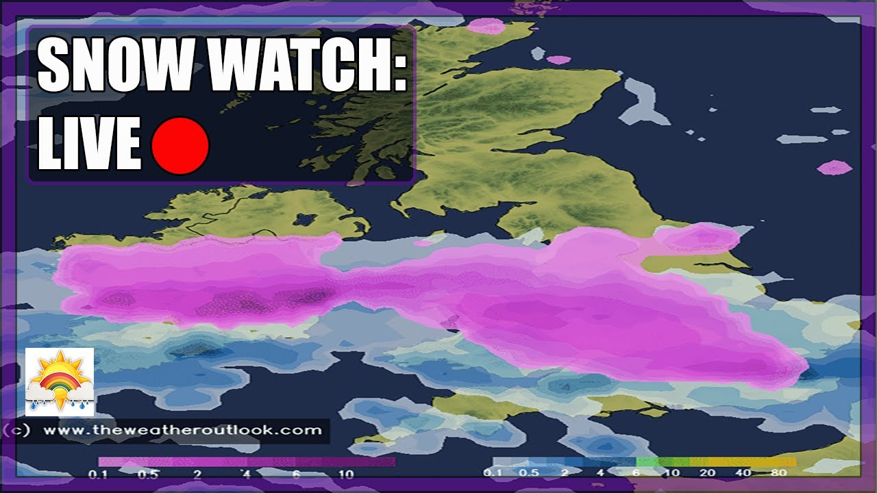 Snow Watch: [LIVE:🔴] - YouTube